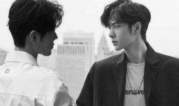 圈内爆料肖战事件后续,真相浮出水面，圈内爆料揭示惊人内幕